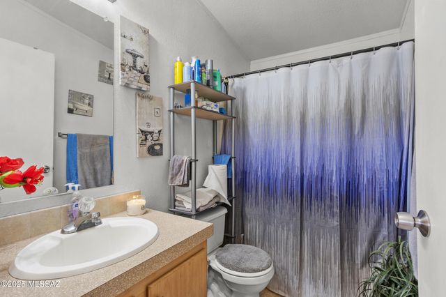 16358 W Sweet Jonquil Court, Tucson, AZ 85735