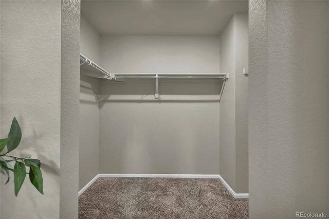 11424 W Belleview Drive, Littleton, CO 80127