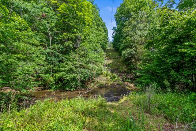 1150 Treanor Springs Rd, Kingston Springs, TN 37082
