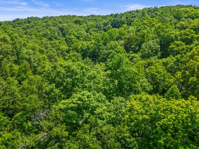 1150 Treanor Springs Rd, Kingston Springs, TN 37082