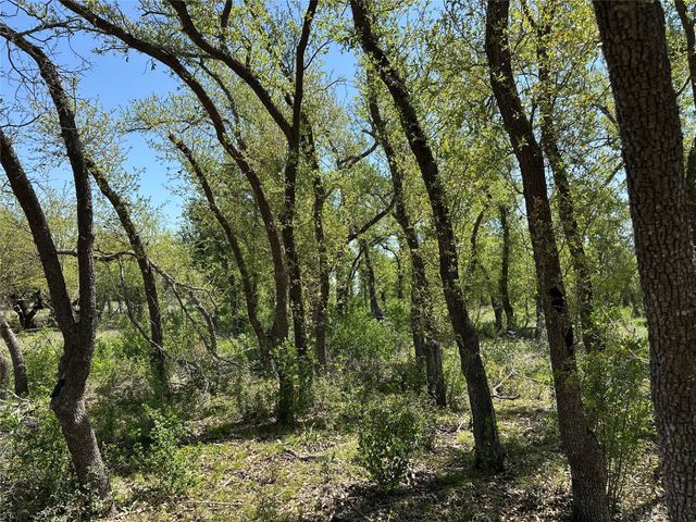 Lot 106 E Flying Owl DR, Johnson City, TX 78636