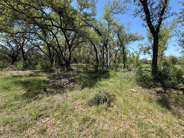 Lot 106 E Flying Owl DR, Johnson City, TX 78636