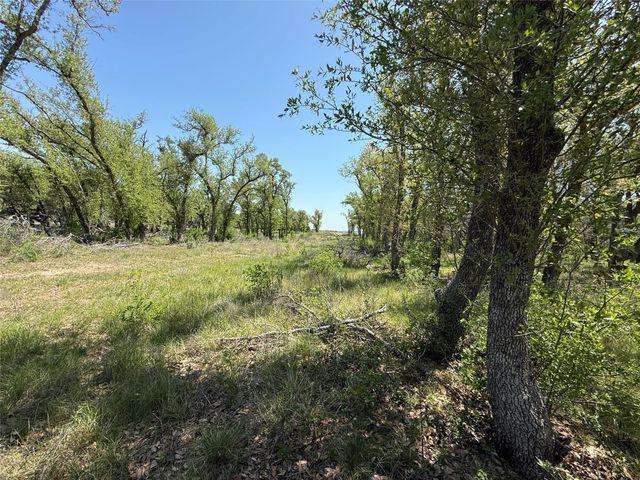 Lot 106 E Flying Owl DR, Johnson City, TX 78636