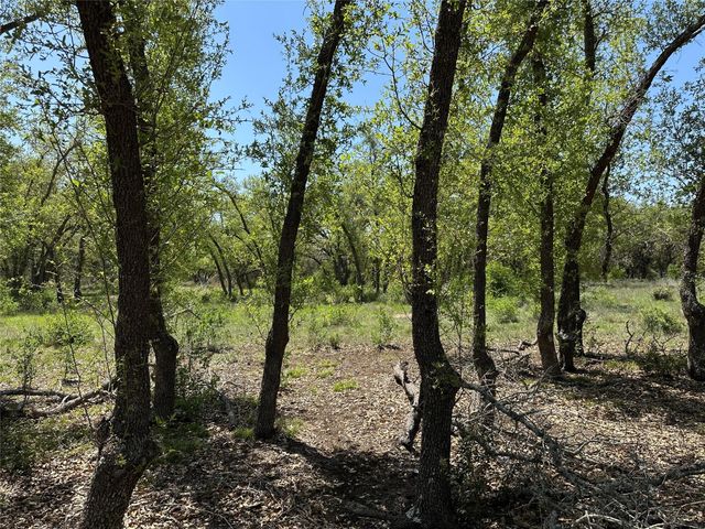 Lot 106 E Flying Owl DR, Johnson City, TX 78636