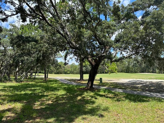 13 DEERWOOD DRIVE, Homosassa, FL 34446