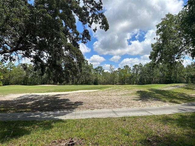 13 DEERWOOD DRIVE, Homosassa, FL 34446