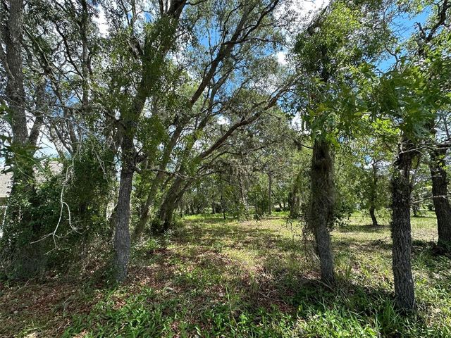 13 DEERWOOD DRIVE, Homosassa, FL 34446