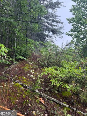 0 441 Expressway, Tallulah Falls, GA 30573