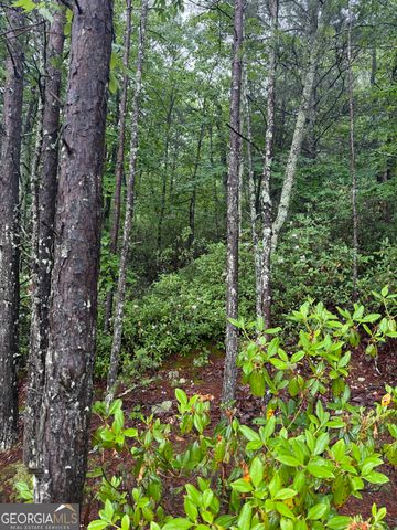 0 441 Expressway, Tallulah Falls, GA 30573
