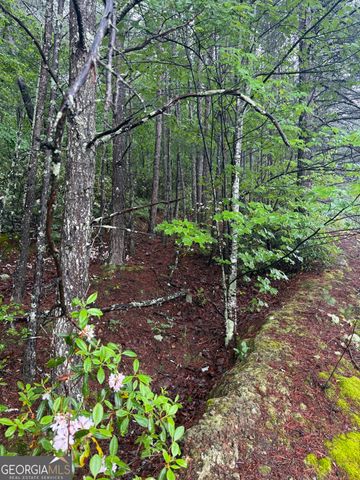 0 441 Expressway, Tallulah Falls, GA 30573