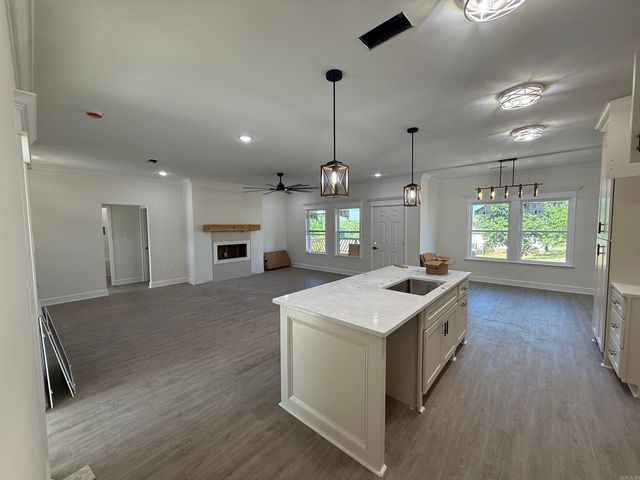 513 Madeleine Circle, Austin, AR 72007