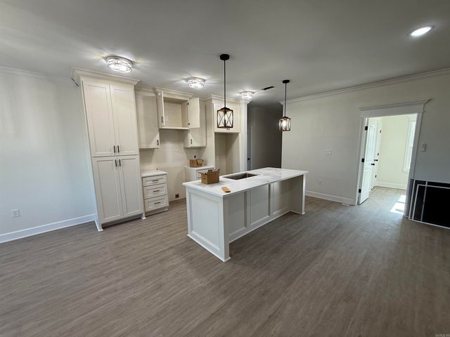 513 Madeleine Circle, Austin, AR 72007