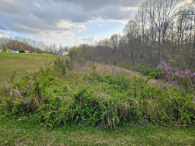 80 Ashley Drive, Liberty, KY 42539