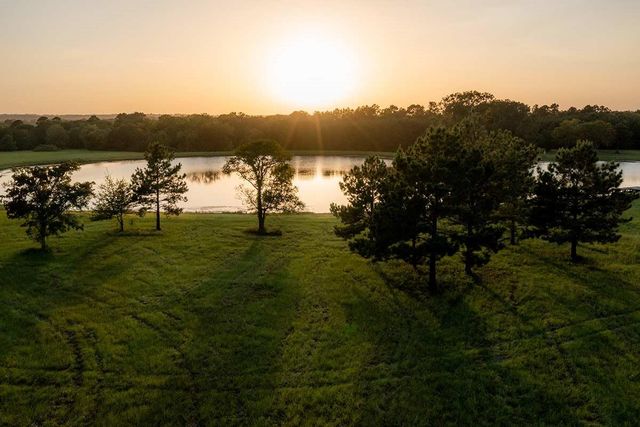 15229 Forest Grove Drive, Willis, TX 77378