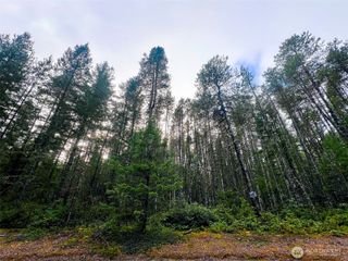 0 TR42 NE Sides Way, Belfair, WA 98528