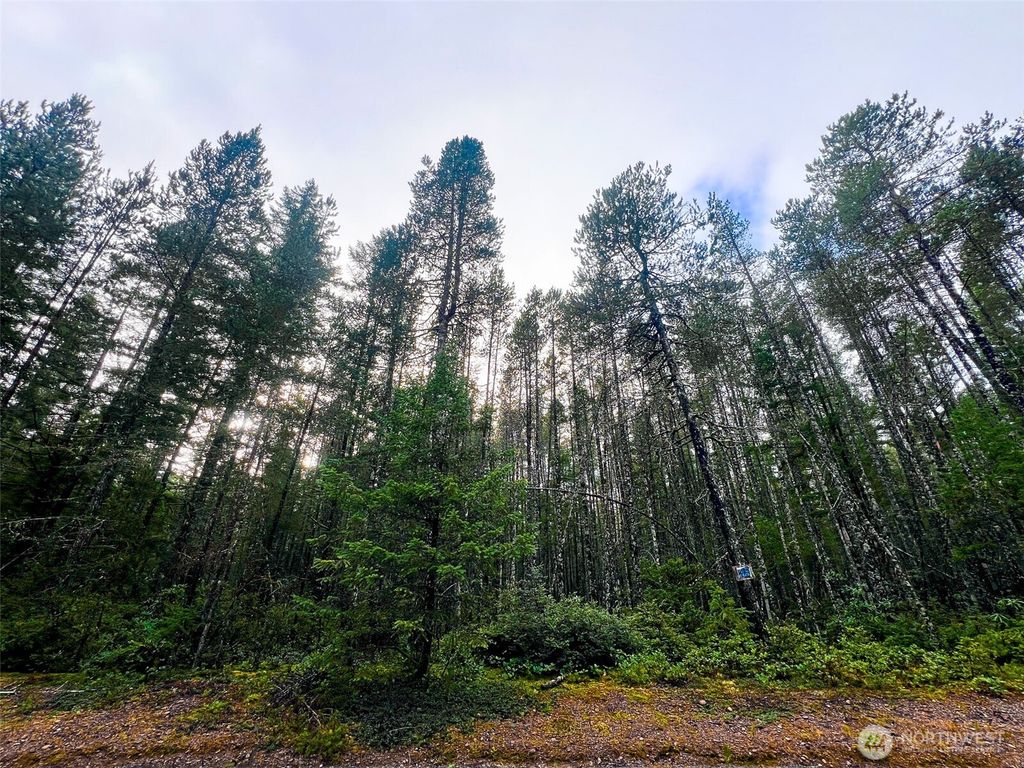 0 TR42 NE Sides Way, Belfair, WA 98528