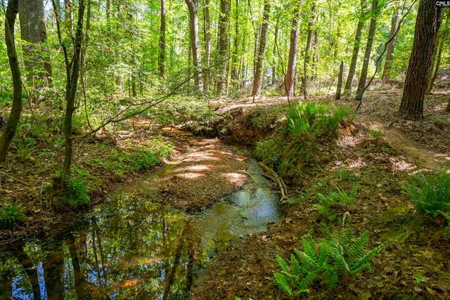 102 Warner Woods Road, Lexington, SC 29072
