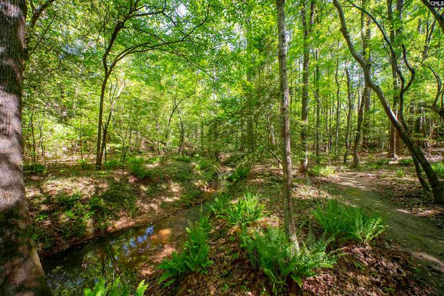 102 Warner Woods Road, Lexington, SC 29072