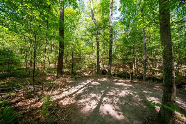 102 Warner Woods Road, Lexington, SC 29072