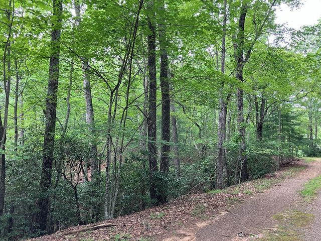 Lt 41 Floris, Murphy, NC 28906
