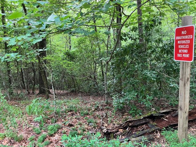 Lt 41 Floris, Murphy, NC 28906