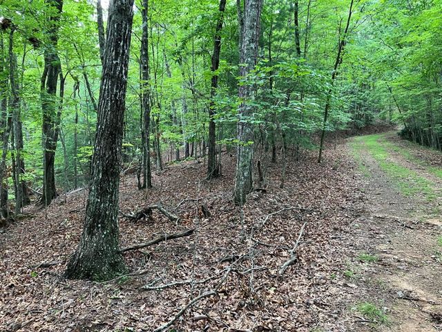 Lt 41 Floris, Murphy, NC 28906