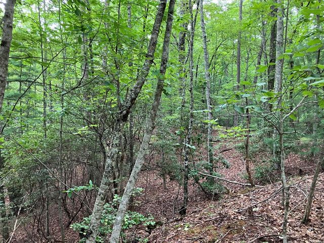 Lt 41 Floris, Murphy, NC 28906