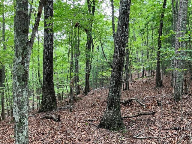Lt 41 Floris, Murphy, NC 28906