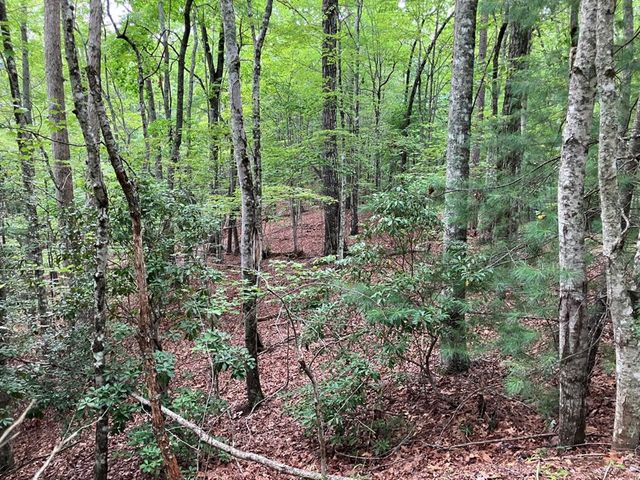 Lt 41 Floris, Murphy, NC 28906