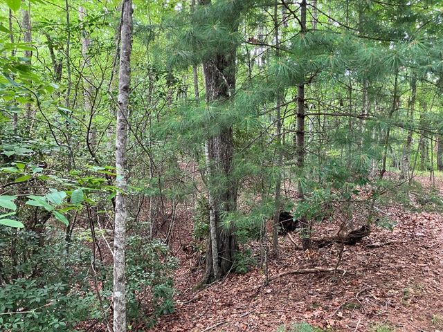 Lt 41 Floris, Murphy, NC 28906