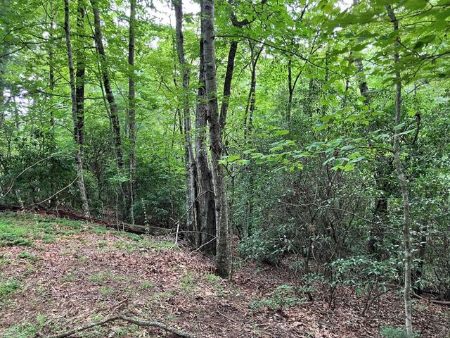Lt 41 Floris, Murphy, NC 28906