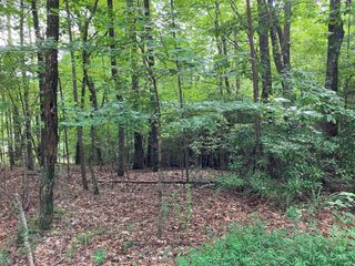 Lt 41 Floris, Murphy, NC 28906