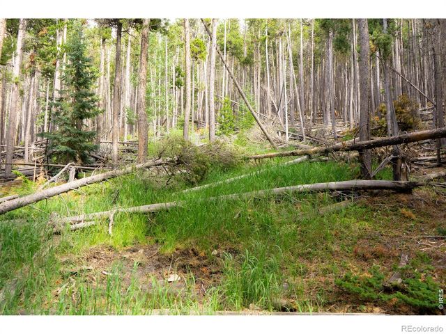 0 Twin Spruce Road, Golden, CO 80403