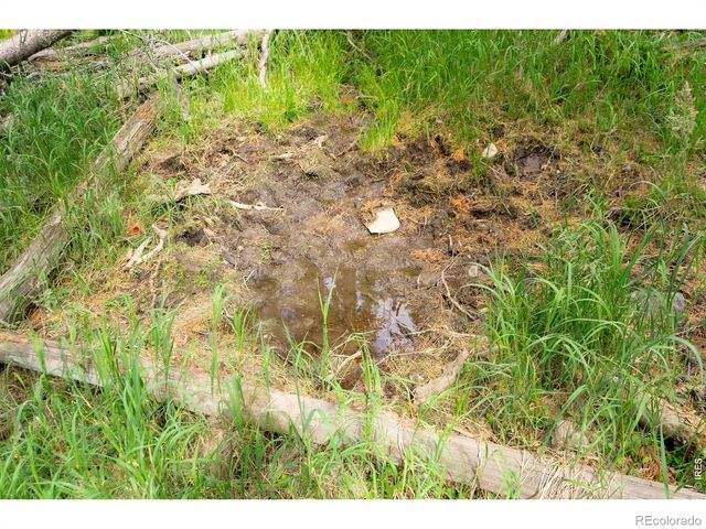 0 Twin Spruce Road, Golden, CO 80403