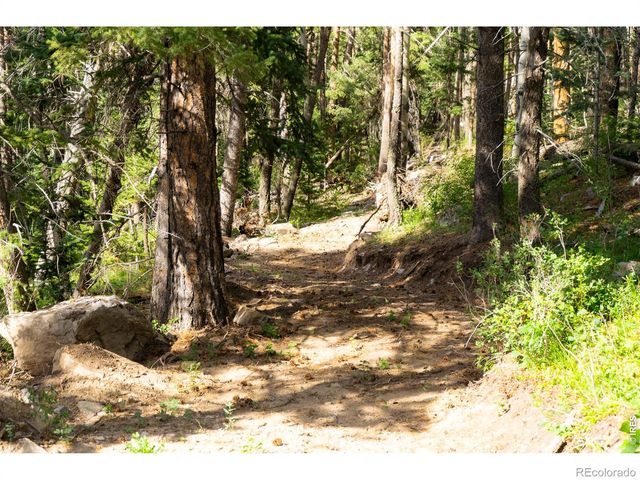 0 Twin Spruce Road, Golden, CO 80403