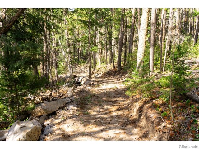 0 Twin Spruce Road, Golden, CO 80403