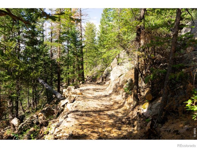 0 Twin Spruce Road, Golden, CO 80403