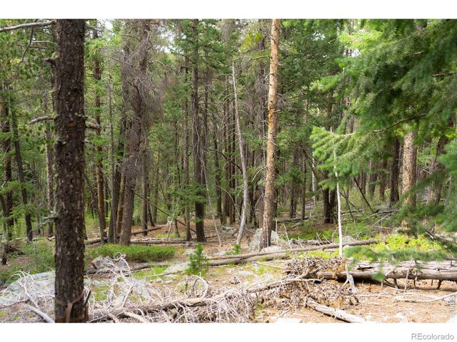 0 Twin Spruce Road, Golden, CO 80403