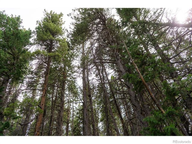 0 Twin Spruce Road, Golden, CO 80403