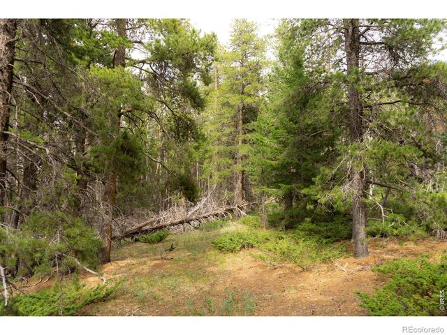 0 Twin Spruce Road, Golden, CO 80403