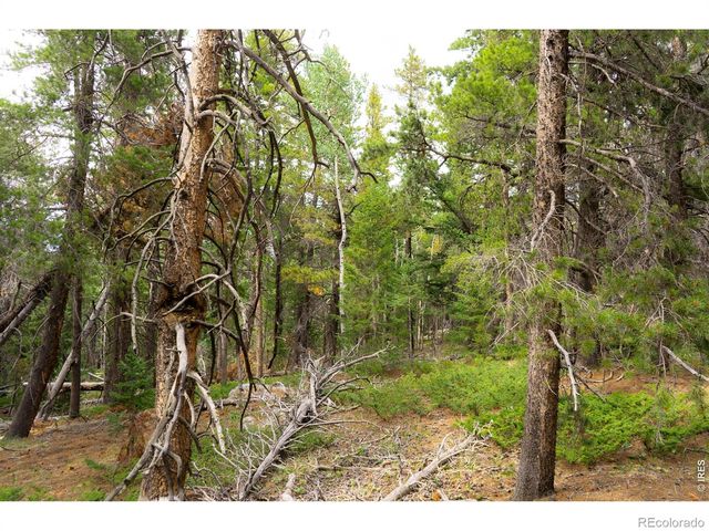 0 Twin Spruce Road, Golden, CO 80403