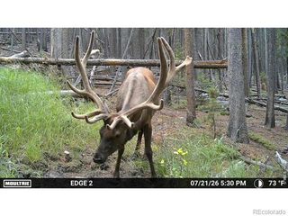0 Twin Spruce Road, Golden, CO 80403