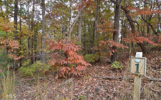 LOT 1 Serenity Ridge, Blairsville, GA 30512