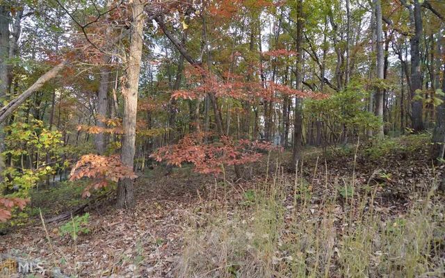 LOT 1 Serenity Ridge, Blairsville, GA 30512