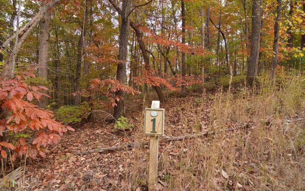 LOT 1 Serenity Ridge, Blairsville, GA 30512
