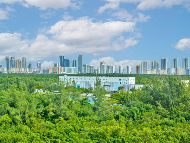 15051 Royal Oaks Ln 906, North Miami, FL 33181