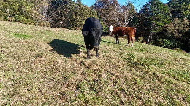 0 Porter Springs Road, Dahlonega, GA 30533
