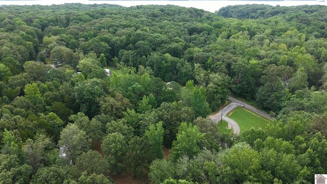 54 Spencer Dr, New Concord, KY 42076