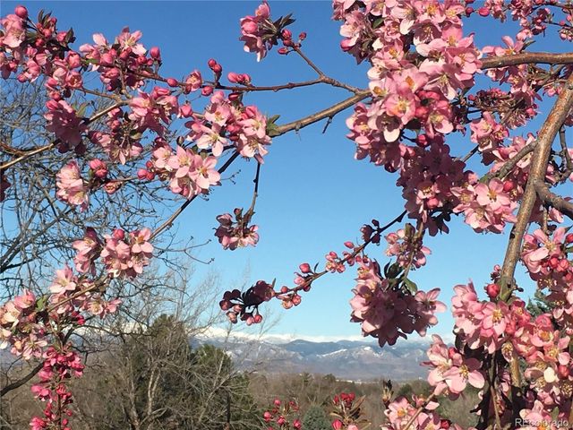 6805 S Harrison Street, Centennial, CO 80122