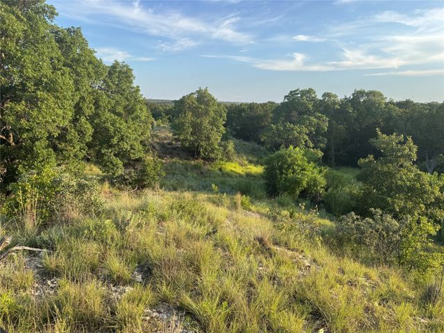 TBD-27 Acres CR 322, Tuscola, TX 79562